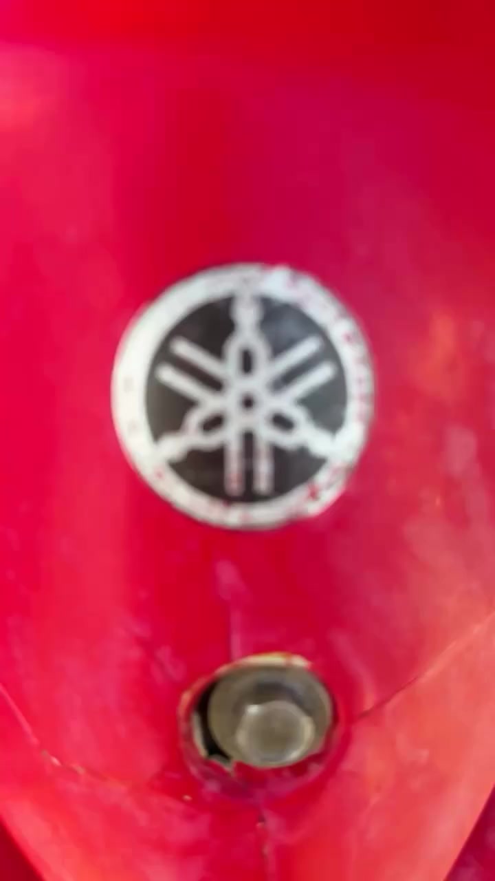 سلام عليكم عدله كفاله عامه. بلاديه. كفر احمر. جارد. داخل ملح. دراجه كارتون.  البيع. سعر ٧٥٠. العنوان بغداد حي العامل ***********
