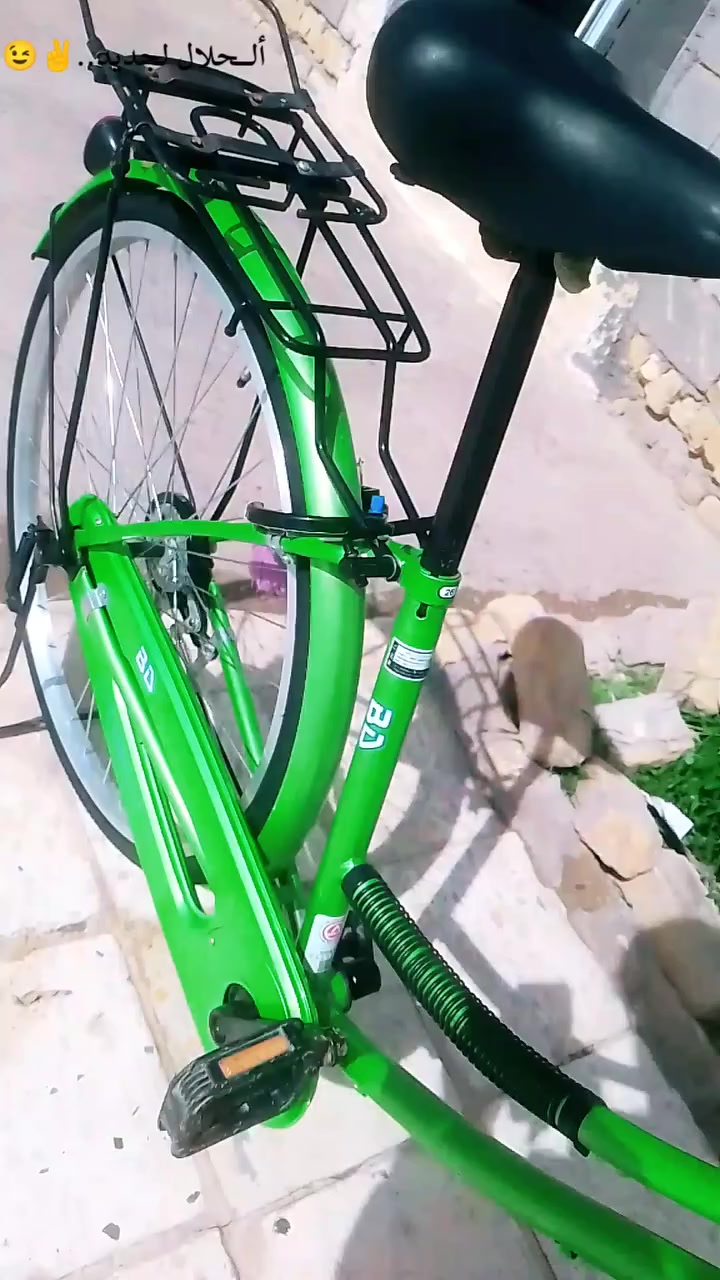 بايسكل لبيع حجم 26/ ليريده يراسلني خاص..


**إذا كنت صاحب هذا الإعلان وتريد حذفه لأي سبب، رجاءا أرسل رسالة إلى الدعم الفني**