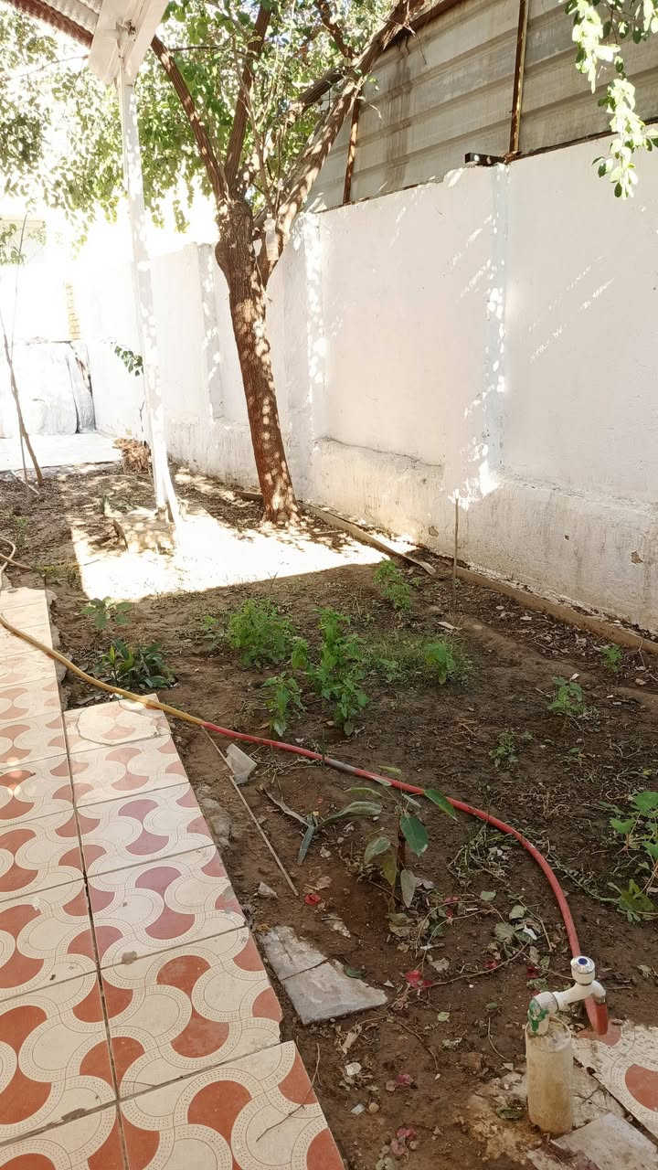 السلام عليكم مرخصت الأدمن بيت مع قطعة ركن للبيع الموقع حي الفرات قرب مكتب سيد ناصر الزاملي  مساحة البيت 256م ومساحة القطعة 112م  
ملاحظة/ امام المنزل يوجد منتزه 

مواصفات البيت
الطابق الأول... 
1_يحتوي على كراج 
2_مدخل استقبال + استقبال
3_يحتوي على غرفتين 
4_ صاله بمساحة كبيرة+درج دور
5_حمام+صحيات
6_مطبخ 
7_الارضية بورسلاين 
ملاحظة/ الطابق الأول كونكريت مسلح
الطابق الثاني..... 
1_يحتوي على غرفتين 
2_حمام+صحيات
3_صاله كبيرة
4_يحتوي على سطح الأول
5_الأرضية بوسلاين
ملاحظة/ السطح الثاني اعگادة 

للأستفسار الاتصال على الرقم: ***********
