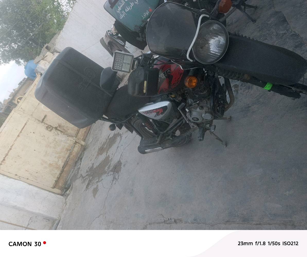 بوكسر ٢٣ رقم او سنوية انكلزي بغداد مكاني يوسفية ناحت الرشيد الدراجة خير من الله تحويل ثاني يوم  ***********السعر ٢ او ٣٠٠ بيهة مجال 