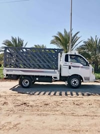 كيا فحل للبيع موديل 2020 الشكل الجديد محور وجاهز محجر تانكي محور سنويه...