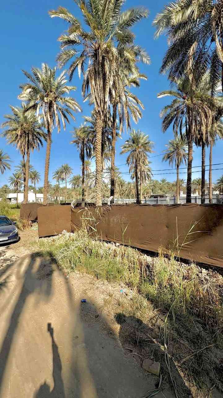 بلاشششش بيع سريع
أرض للبيع في كربلاء الحسينية ناحية الجرية المساحة 1000 متر  الواجهة 30  والباقي نزال ارض مربعة  طابو ملك صرف تصلح دار سكن او حسينية كونها على شارع زوار  تحويل  ب اسم المشتري مباشر بيها تقريباً 15 نخلة الارض عامرة كافة الخدمات تبعد 400 متر عن الشارع العام … قرب سوق الجرية  التجاري الكبير  كافة الخدمات منطقة سكنية تبعد عن مركز المدينة 6 كيلو السعر 120 مليون مع المجال للأستفسار اتصال ***********
