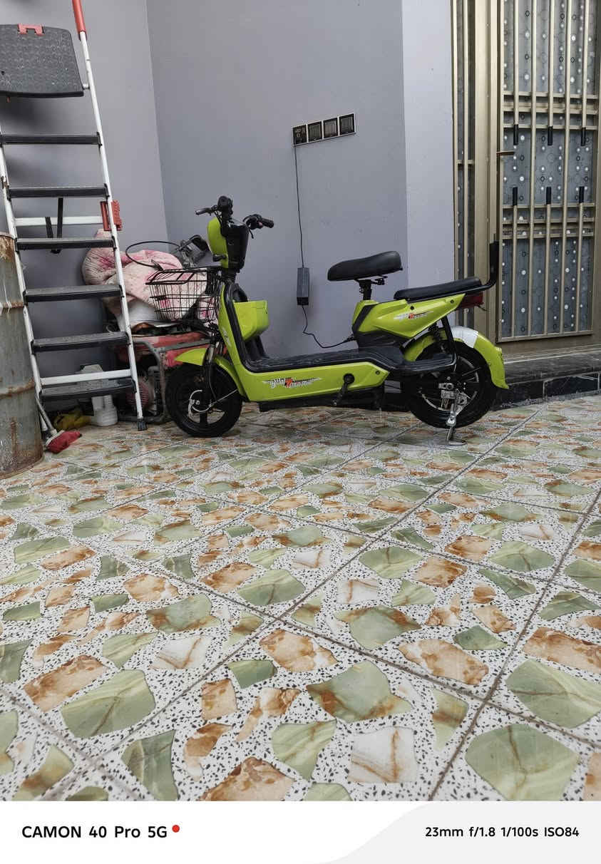 دراجه آر ١٤ عله شحن بيهه  ٣سرعات البيع سعر 250وبيهه مجال
رقم ***********
