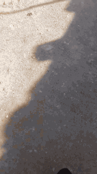 القطعه للبيع مساحه 340متر سندزراعي25 خدمات موجوده كمامبين بلفديوالاستفسار***********
