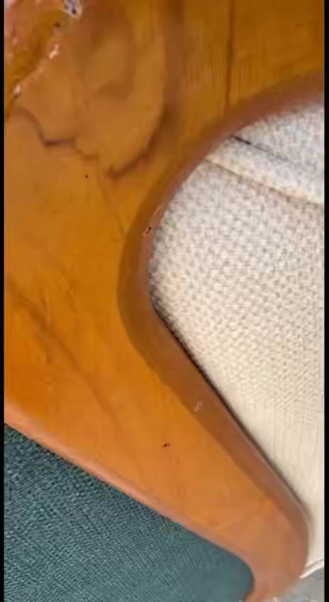 ‎🌹 السلام عليكم🌹
‎    
‎موصفات الهيكل 
الخشب جام  روسي  مناصف والبلوك  السود
‎السفنج مميز ضغط عالي  القماش  كتان  تركي قديفه او وتر بروف حسب  الموديل
‎للحجز او الاستفسار ارسال صورة الديوان عالخاص او على الرقم المثبت على الوتساب 

***********
