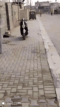 السلام عليكم ماكس بوليس البيع مفتوحه مراه وحده سلف كامل بس ناقصه دشلي هندر اشاير الايت وبك لايت كلهن شقالات سعره 475 وبيه مجال نتصال عله هاذه رقم *********** مكاني بصره تقاطع الكزيزه
