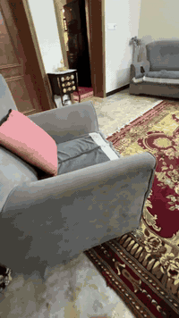 تخم للبيع نظيف جدا جدا  10 مقاعد  2- كبار  1- وسط 2- صغار  مكاني العام...