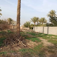 البدعيه • ٤٨٠م • طابو زراعي