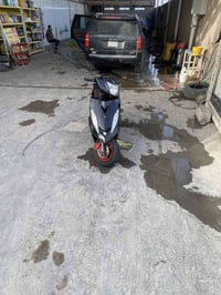 جي تي ار • ٢٠١٠ • الدورة