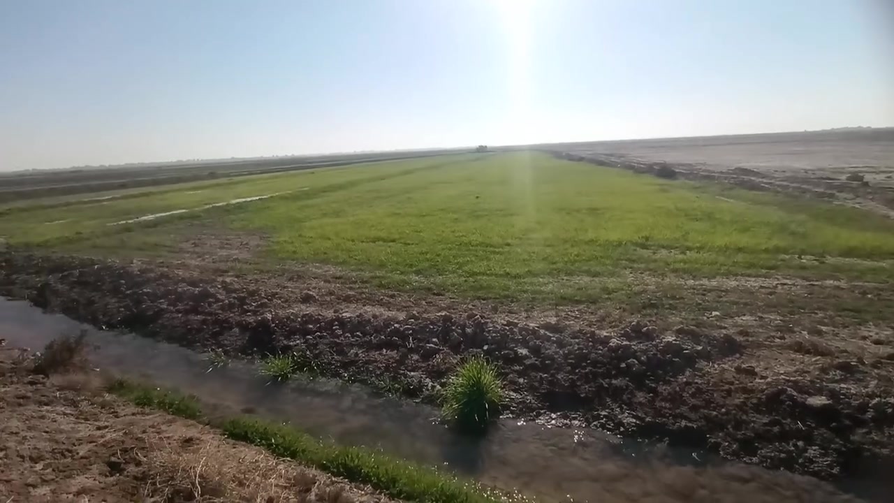 كاع زراعيه للبيع 8دونم 
طريق ساده الخوان قرب مدرسة رزاق
‏‪***********‬‏
