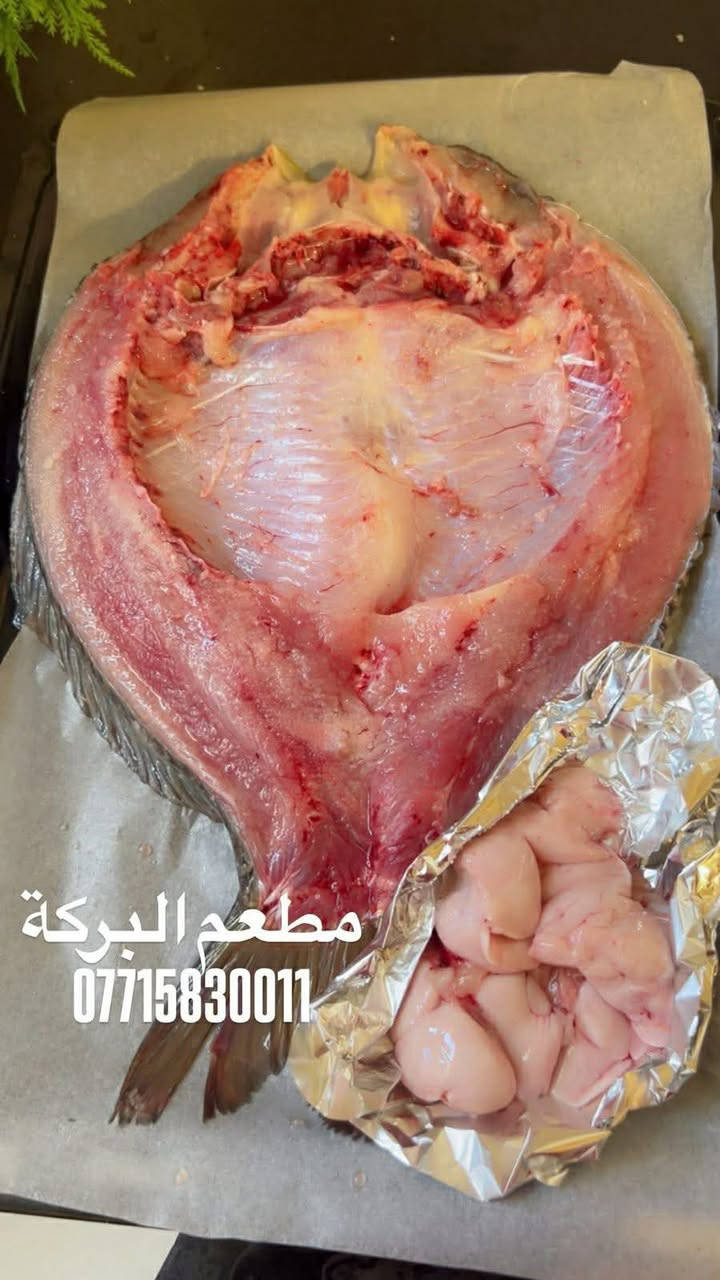 سمك كاريبي حي كيلو ب ٥٥٠٠

#سمك مسكوف على اصوله باطيب الصلصات الحامضة
دجاج مشوي على الفحم 
سمك مقلي مكسب مع الطرشي والعمبه واليمون والبصل 

متوفر توصيل سريع


**إذا كنت صاحب هذا الإعلان وتريد حذفه لأي سبب، رجاءا أرسل رسالة إلى الدعم الفني**