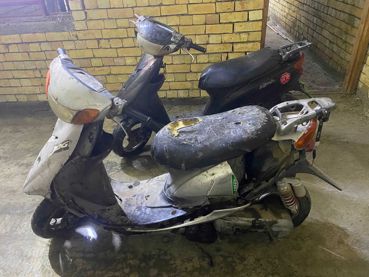 سلام عليكم دراجات عصفوريات ابيعهن ثنينهن كوم حديد تاخذهن طافيات ثنينهن250 بيهن مجال قليل مكاني بغداد البلديات ***********
