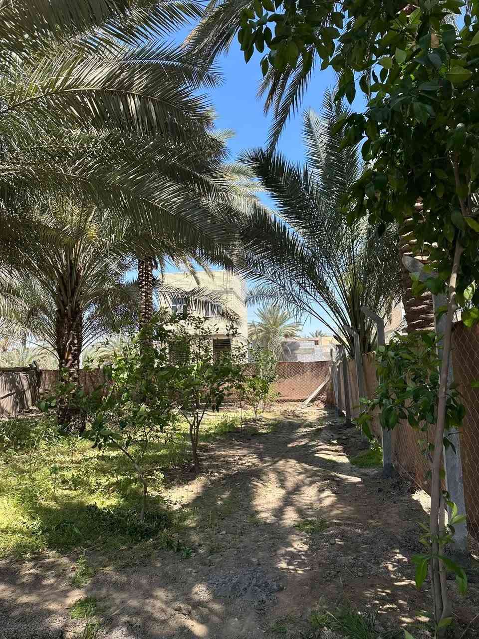 قطعه  للبيع مساحتها 400 متر 
في كربلاء شارع بغداد مقابل عامود 50 قرب الشارع العام جهة الدخول الخدمي خلف الخباطه  
شارع 10متر والفرعي 8متر تبعد عن التبليط الفرعي 20متر
توفر ماء كهرباء مجاري  
طابو زراعي سند 25 من صاحب الارض 
السعر 225 مليون 
عقارات كربلاء في حي العباس ع ***********
@أبرز المعجبين
