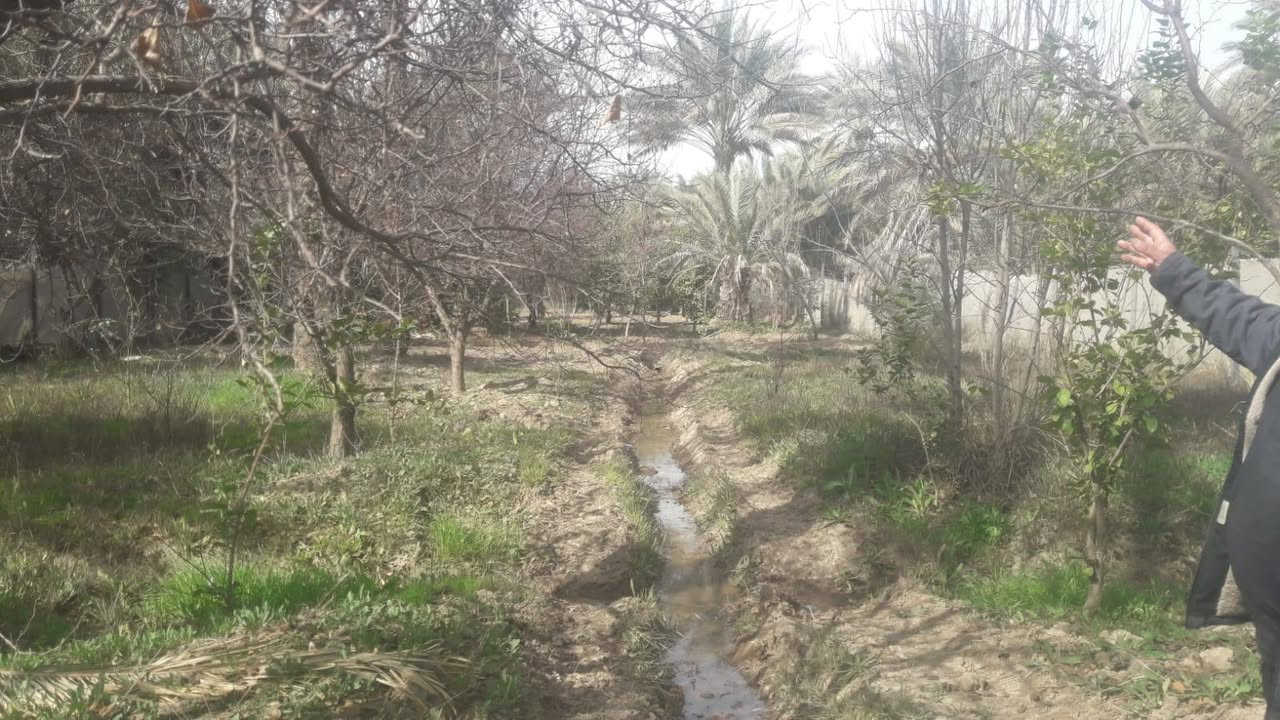 اخوان دونم للبيع في منطقه الراشدية بل عاصفه سند 25 الواجهيه 22 نزال200 ***********
