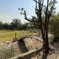 تتوفر حجوزات طيله أيام العيد صباحي ومسائي وبأسعار مناسبه لاستفسار الات...