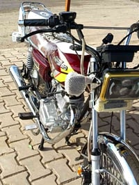 موديل 25 • نضافة • دلي عباس