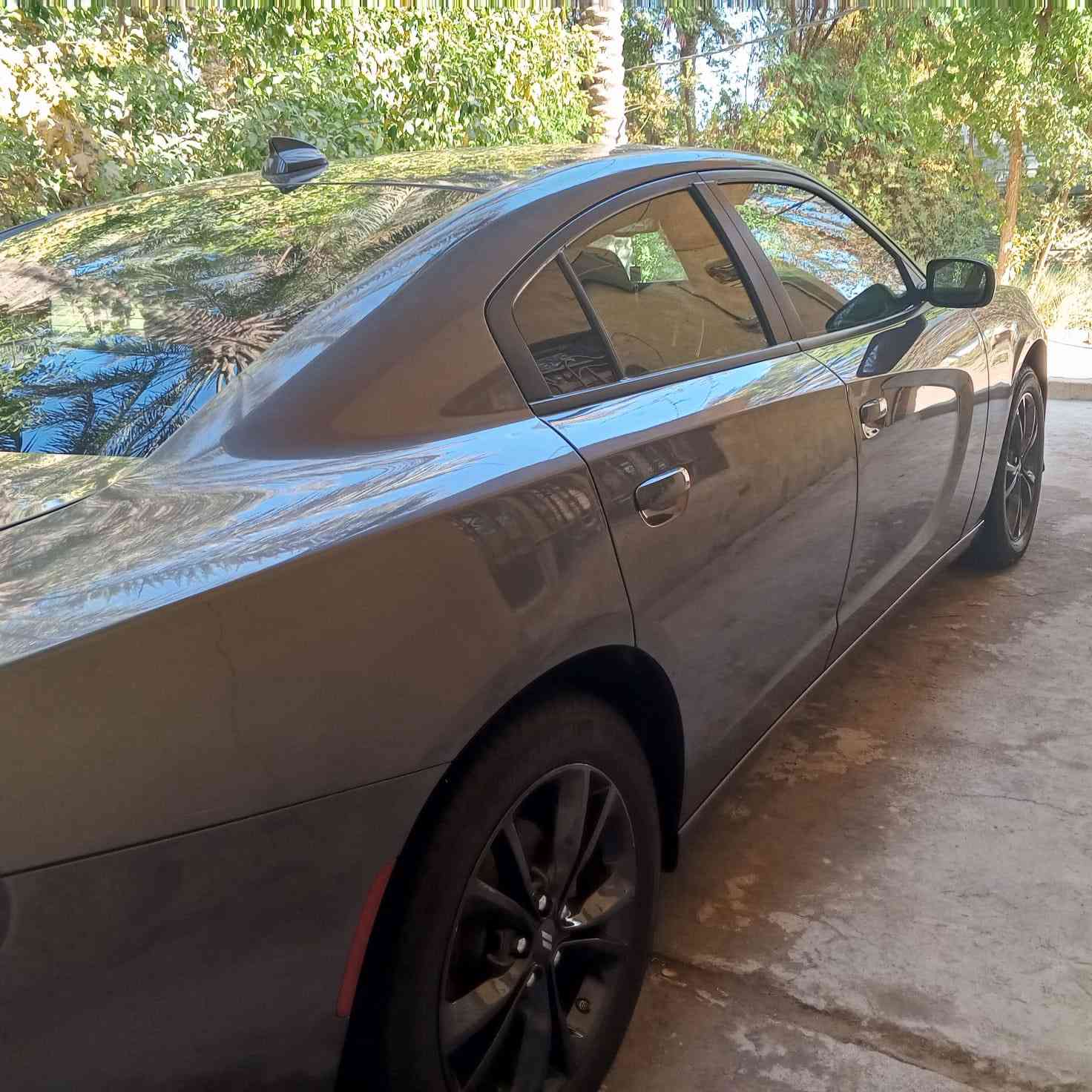 دوج جارجر
موديل 2022
وارد كندي سياره اني مستورده من امريكه 

جديده بمعنا الكلمه تجي وتشوف بعينك 

حادثه جاملق وبنيد ونص من الفخذه بدون شواصي 
وبيه على كد أربع صابع بارد بالقماره بسبب تنزيل 

محرك 3600.           تشغيل عن بعد    تخم تاير جديد هسه شاده 

رقم بغداد باسمي تحول من اي محافضه

لايت زنون عالي ناصي 
تحكم ستيرن     

سعر 210 وبيه مجال   مكاني كربلاء  ***********
