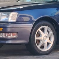 ويلكب راس ثور البيع او مراوس برياضي 07729179015