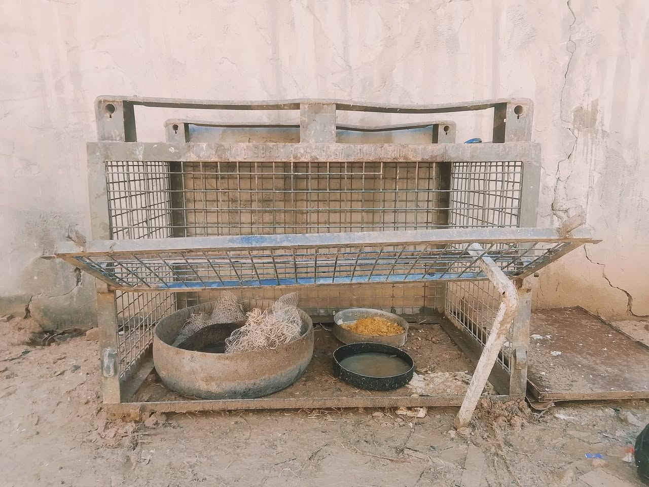 قفص للبيع السعر 100
وزن تقريبا 200 كيلو


**إذا كنت صاحب هذا الإعلان وتريد حذفه لأي سبب، رجاءا أرسل رسالة إلى الدعم الفني**