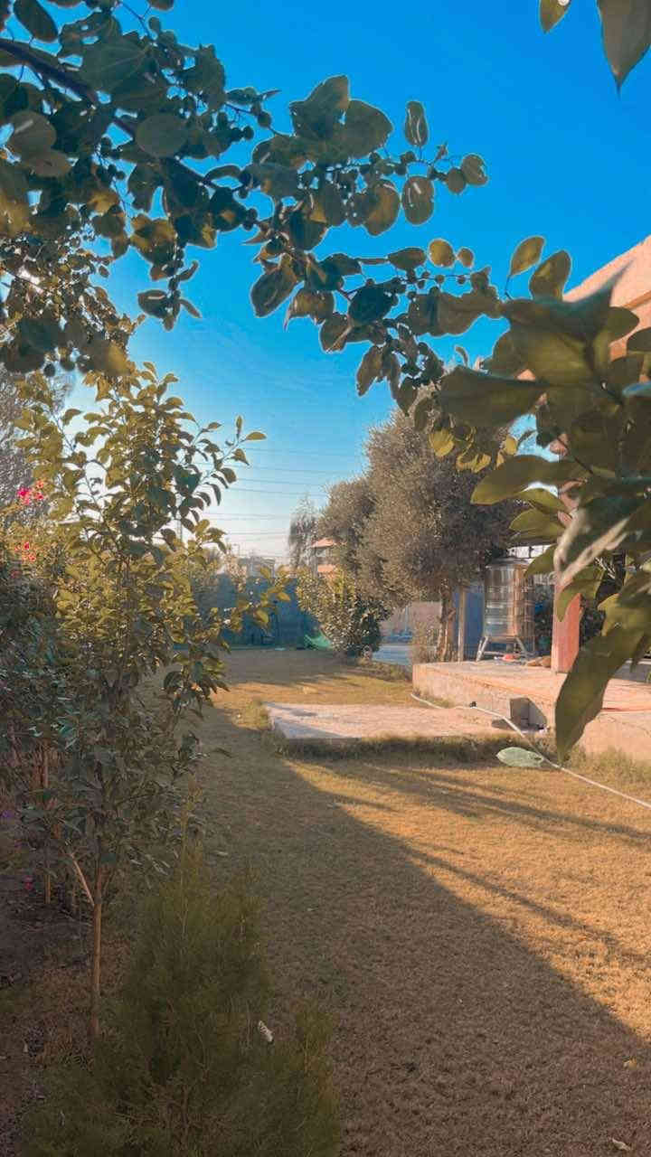 يوجد دار للبيع في قضاء العلم الوعي قرب من ملعب مجاور هيئه الشباب و الرياضه 600 متر متكون من ثلاث غرف نوم و مطبخ حار بارد و استقبال و صاله داخليه و مجمع صحيات كراجات عدد 2 للاستفسار الاتصال و الاستفسار‭ ***********
