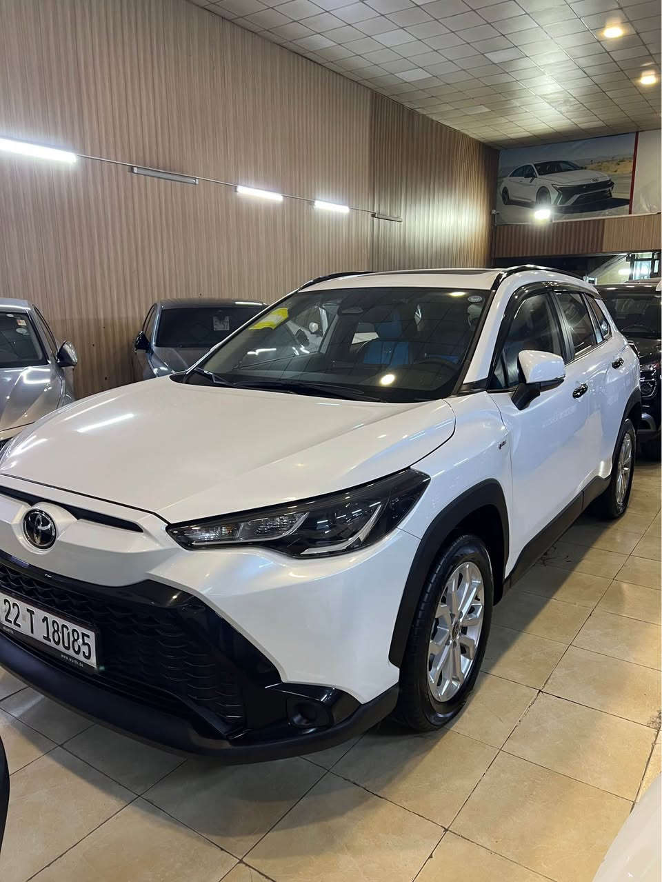 ***********
فروتلاندر سيني ٢٠٢٥ ماشي ١٩ الف كفالة عام بصمة سلايت شاشة كامرة تليشة سقف أربيل, العراق
