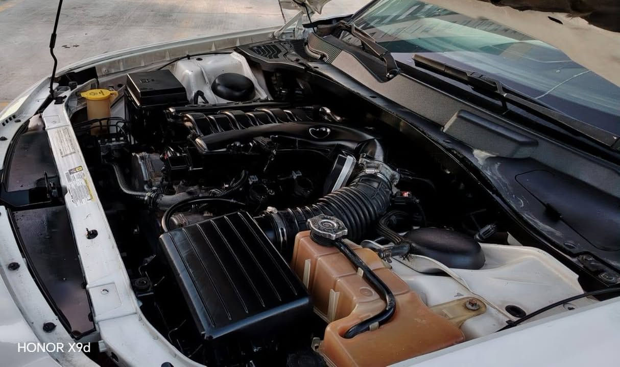 بسم الله سلام عليكم دوج جارجر 2010 اصل
ایبی اس. کبیر محرک 3500 ابیض ثلجی
شاشه کامره تحکم سرعه کل عل بلاد محرک ممفتوح 
سیاره رقم اربیل شرط تحویل ثانی یوم هزه فحص جدد کبل حول بسمک تخم تایر مکینه کیر اکسل کل شرط
مکان سیاره سلیمانیه سعر 113ورقه  سیاره بی ثلاث قطع
*********** تحیاتی لجمیع مکلف بل نشر
