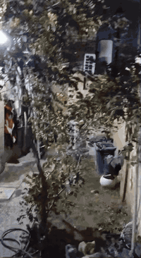 السلام عليكم دار للبيع مساحته ١٠٠م طابو صرف واجهه ١٠ نزال ١٠ م في المعوقين  شارع الوازات يحتوي على كراج استقبال مطبخ صاله غرفة نوم خدمات داخليه وخارجيه السعر ٨٠مليون بي مجال المراجعه مع مكتب دلالية ابو فراس العتابي *********** وابو محمد الشمري ***********🌹🌹🌹🌹
