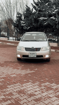 بيكاشو موديل ٢٠٠٤ عام به خ بي داخل كيرو كمينه شرت  تحويل غرامات شرت عنوان اكري قست و نقد  ر م ***********
