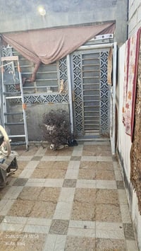 علوة الفحل • ١٤٠م • زراعي سند ٢٥