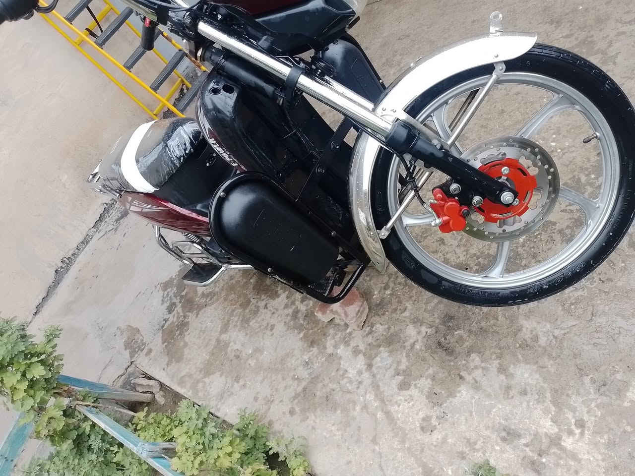 السلام عليكم 
هارلي شحن من شركة E-power 
موديل 25 بطاريات 5 قبل شهر شديتهن عالفحص 
نظام بك رجوع للخلف 3 سرع لايت عالي وناصي هورن اصلي بريكات أمامي وخلفي فج الأصلي نوعية درجة أولى مستخدم قليل الدراجة كلها بعدها عالفحص 
سعرها كلش مناسب 
عنواني بالتاميم بالدواجن 
***********
