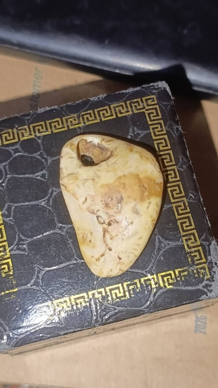 عطف بري 75قفل وشرط


**إذا كنت صاحب هذا الإعلان وتريد حذفه لأي سبب، رجاءا أرسل رسالة إلى الدعم الفني**