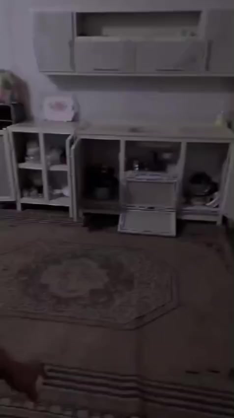 سعر ٣٠٠بي مجال


**إذا كنت صاحب هذا الإعلان وتريد حذفه لأي سبب، رجاءا أرسل رسالة إلى الدعم الفني**