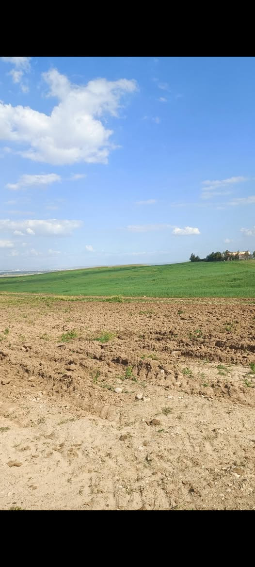 🌲13دۆنم   نیوە زەوی زۆر جوان  بۆ فرۆشتن نرخ یەک دۆنم  #______13__وەرقەومعاملا
🌲 لەسمود گوندی دێبنە نزیکی ماڵە کان تاپۆی شێخ 
🌲نزیکی کارەبایە چواردەوری ڕێگایە ڕوکن 
🌲زەوی زۆر شازە بۆ باخە بۆ فلاحت 
🌲هەرزان ترین دۆنمە لە دێبنە 
🌲بۆفرۆشتن ماڵی دۆستە  بۆ زانیاری زیاترژم ***********
