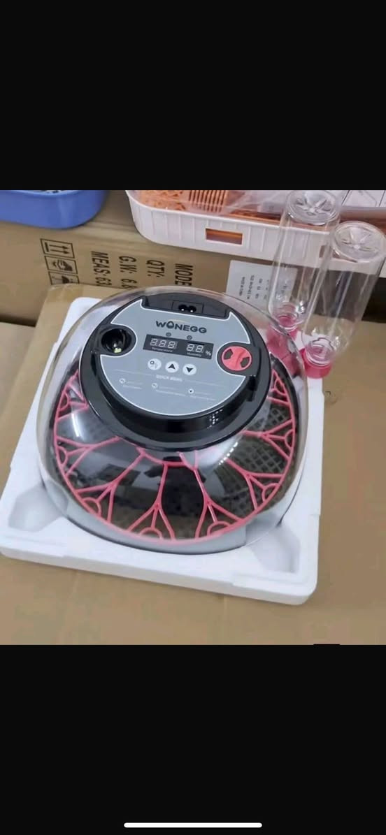 نسبه التفقيس 99بل100 عن تجربه
شاشة رقمية لضبط ومراقبة الحرارة بدقة.
 • التحكم بالرطوبة:
فيها خزانين ماء (الأنابيب الجانبية) للحفاظ على نسبة الرطوبة المناسبة.
 • تقليب البيض أوتوماتيك:
الجهاز يقلب البيض تلقائيًا كل فترة حتى لا يلتصق الجنين بالقشرة.
 • غطاء شفاف:
حتى تراقب البيض بدون فتح الجهاز.
 • إنذار وتنبيه:
بعض الموديلات تعطي تنبيه إذا الحرارة أو الرطوبة صارت غير مناسبة.
 • سعة البيض:
عادةً من 12 إلى 16 بيضة (حسب الموديل)
للستفسار ***********
