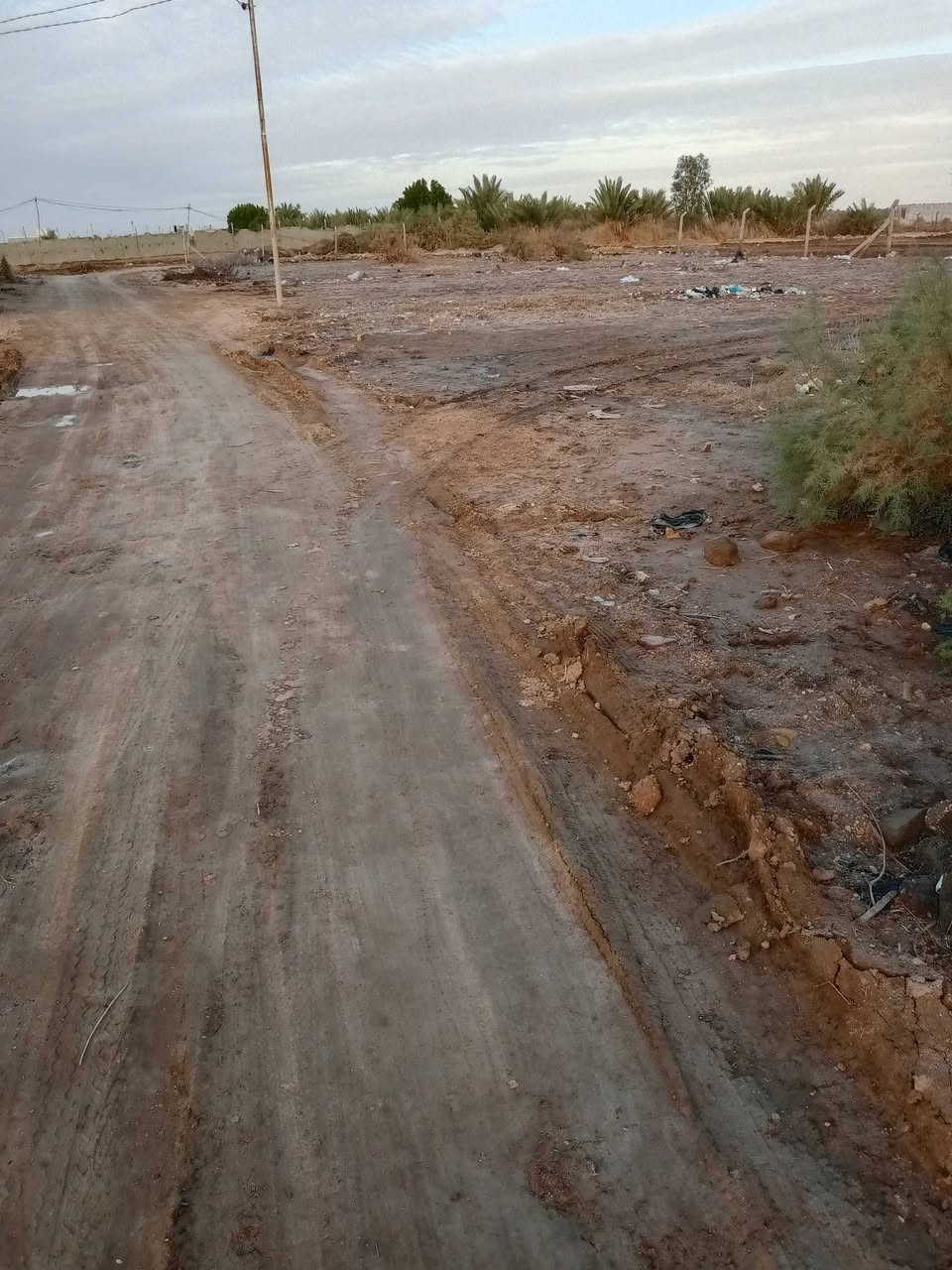 سلام عليكم قطعه طابو زراعي سند 25بحي المنصور جهت  سجت القطار مساحته 900متر لاستفسار عله رقم ***********بي واساب
