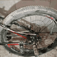 باسكل جبلي • نضافه ٩٠٪ • ٧ نمر