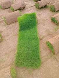 #الاسعار يمنه صارت تنافسية  🔥 #متوفر كافة انواع الثيل  الطبيعي الثيل ا...