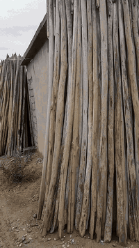 السلام عليكم.. دراسك للبيع طول ٣م العدد٤٠٠ درسك نضاف حيل سعرالزوج  ٤٠٠٠ ودراسك ٣و٢٠+٣ونص الزوج٨٠٠٠ مكان الشرقاط قريه شكرا ساحه البركه لبيع الخشب للستفسار والاتصال *********** /***********
