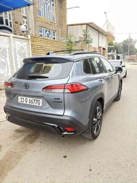 كروز • ٢٠٢٣ • الكوت