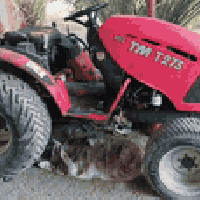 كابوته • البصره قضاء المدينه • جاهز للشغل