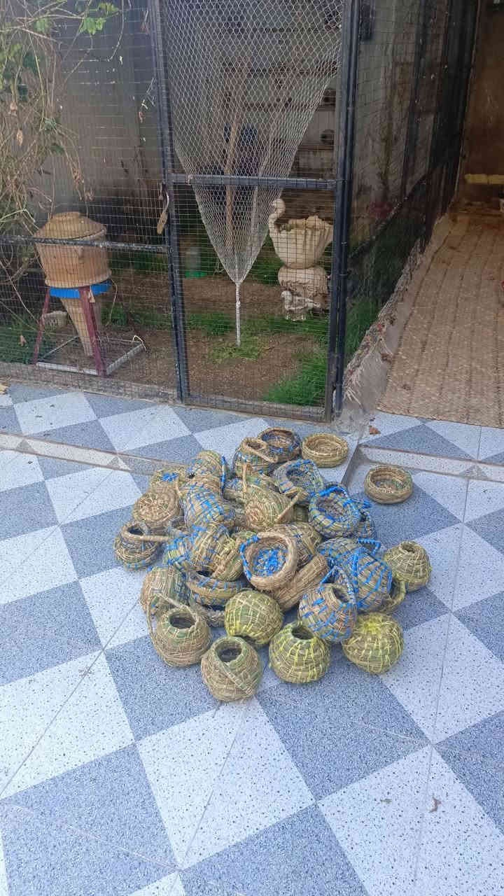 السلام عليكم شباب حلات مال فناجس او كناري شغل يدوي حسب الطلب مكاني كوت زين القوس ‏‪***********‬‏
