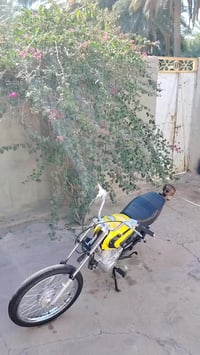 البيع شلامجه اصولي تعمير 25 اوالشاصي17  الستفسار‏‪07884055620‬‏