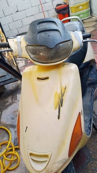 دراجه فراشه • فحل