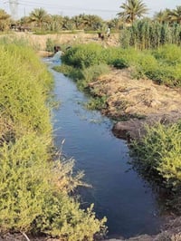 بابل • كاع زراعي • سند ٢٥
