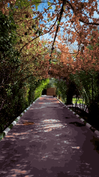 مزرعة النخيل الاولى الترفيهية ، للحجز والاستفسار مراسلة الصفحة او الاتصال على الرقم *********** .

#ترند #اكسبلور #منشن #تفاعل #لايك #كنشن #تصويري
#اعراس #افراح #مناسبات #اغاني #بغداديات
#كاظم_الساهر #تصميم #تصميمي  #تصميمي
