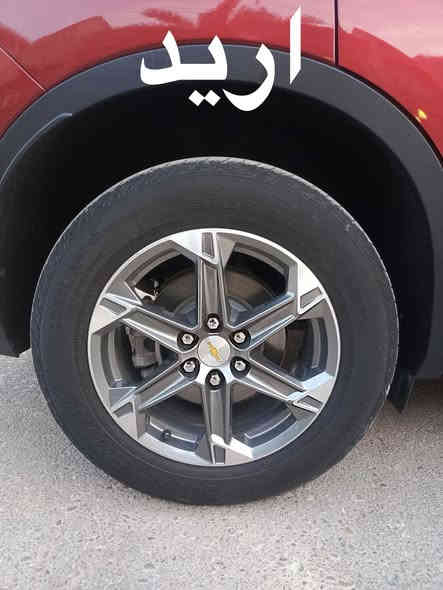 تخم ويل كب 20 مراوس بتخم قياس 18 
مكاني النجف 
***********
