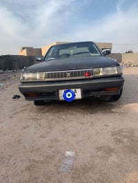 مراوس • سنوية • بصرة