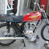 رابيدو • شهر • اصلي