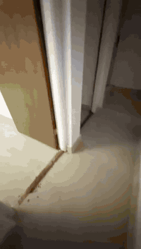 بيت ركن ٢٨٢ متر شارع ١٢ مترباسمي  يتكون من ثلاثة وحدات سكنيه ومسبح داخلي للاستفسار *********** بي وات ساب
