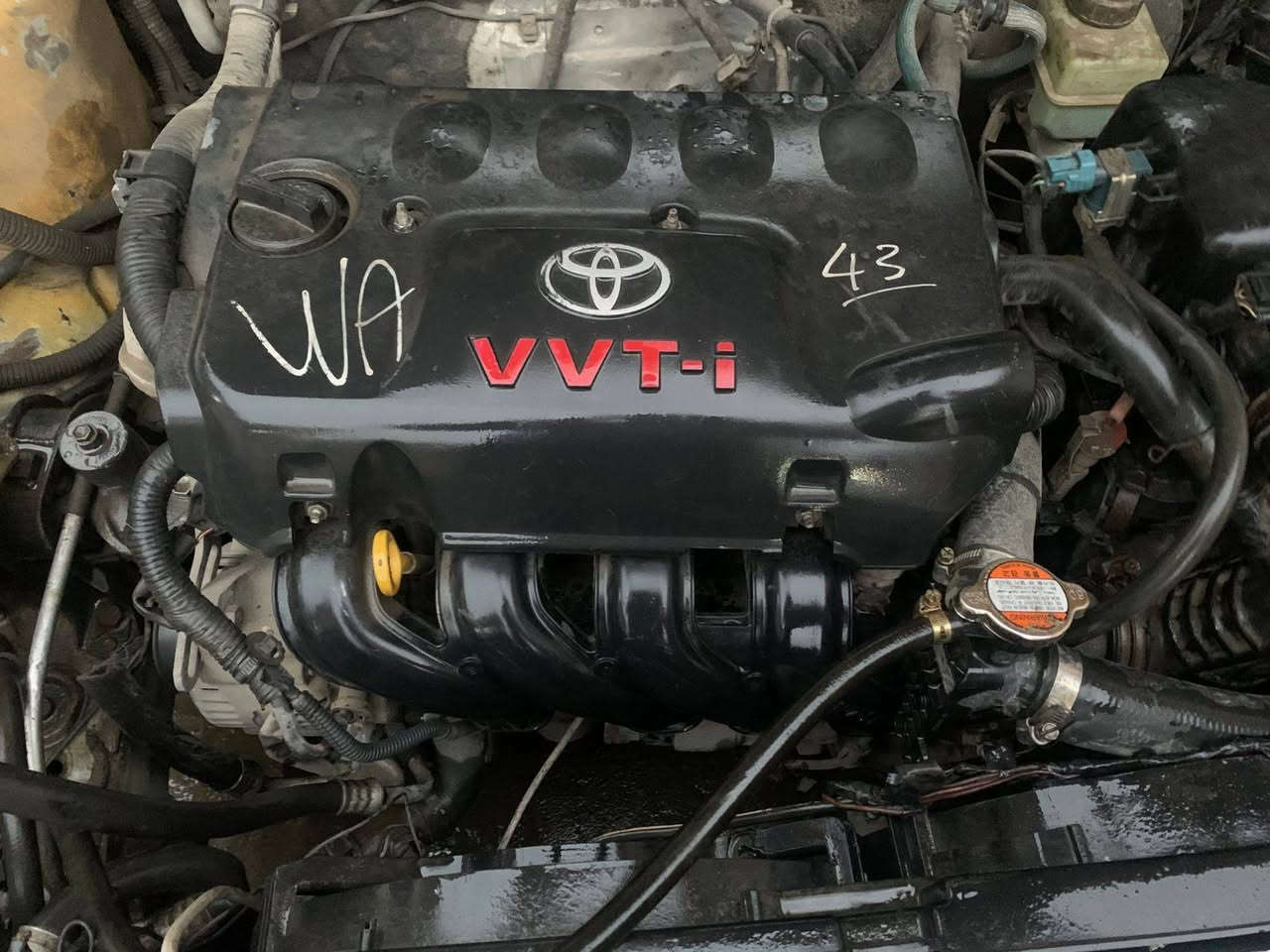 سيارة كوين 2010 
محرك يارس 
كاربون بانزين 
محرك كير شرط لاصرف ولانفخ 
حزام جمالية تلقيطات خفيف معجون 
غرفة جديد 
طخخمها. علنص 
السعر 32 ورقة وبيها مجال 
هيئة بلنص علثنين ٤٠٠ هيئة تقريبا
للتواصل رقم المبايل 
***********
